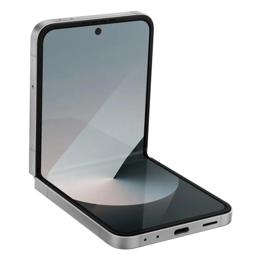 Samsung Galaxy Z Flip 6 F741W 12/256Gb Global Серый