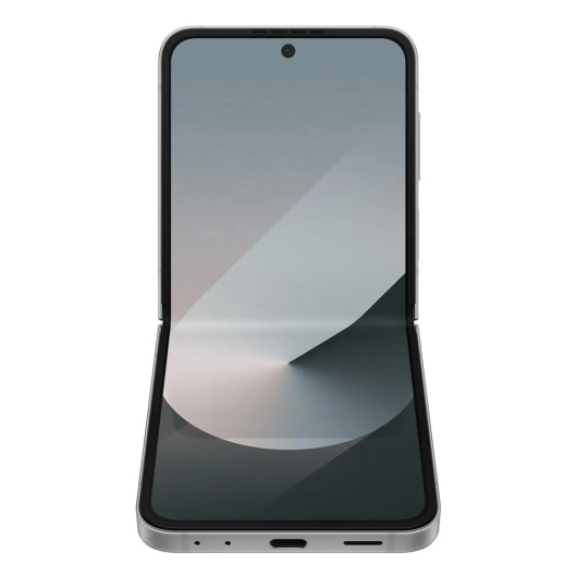 Samsung Galaxy Z Flip 6 F741W 12/256Gb Global Серый