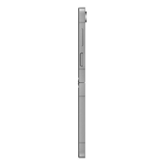 Samsung Galaxy Z Flip 6 F741W 12/256Gb Global Серый