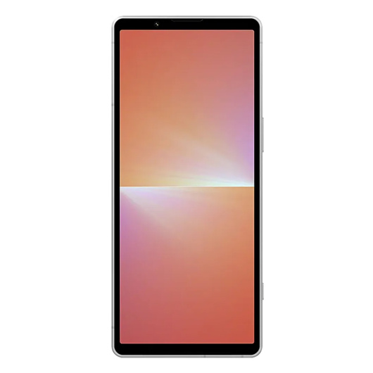 Sony Xperia 5 V 8/256Gb (XQ-DE72) Global Серебристый